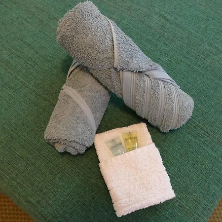 Jardin De L'hotel De *