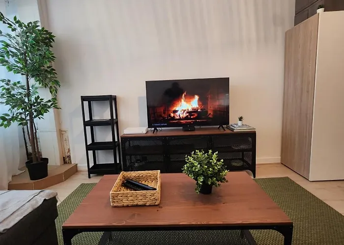 Jardin De L'hotel De Apartment